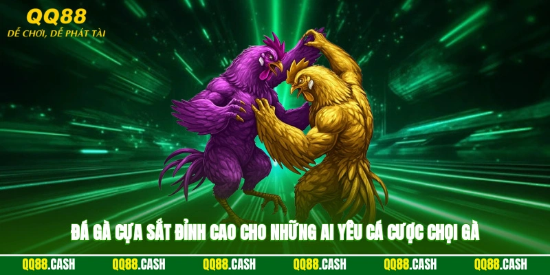 Đá Gà Cựa Sắt - Đỉnh Cao Cho Những Ai Yêu Cá Cược Chọi Gà